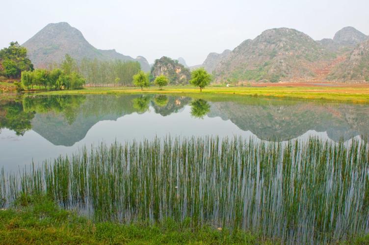 普者黑有着独特的云南高原湖泊湿地生态系统