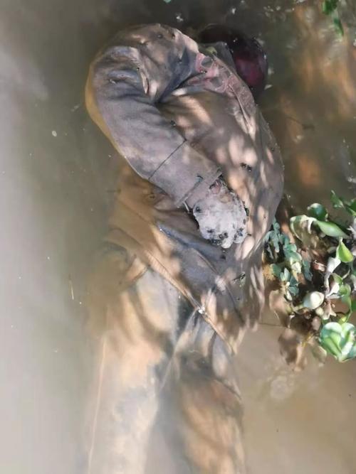 【震惊】发现一具无名女尸!在化州合江至江湖河段!约30多岁!_尸体