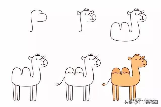 小骆驼简笔画涂色简单