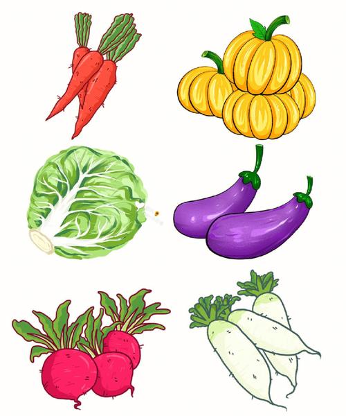 绘画素材马克笔手绘各类蔬菜集合
