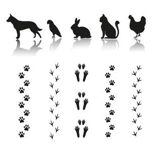 小狗脚印图片-小狗脚印素材-小狗脚印插画-摄图新视界