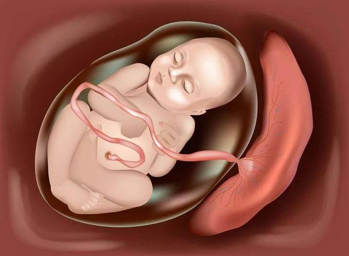 空气污染物竟然可以穿过胎盘,对胎儿安全吗?