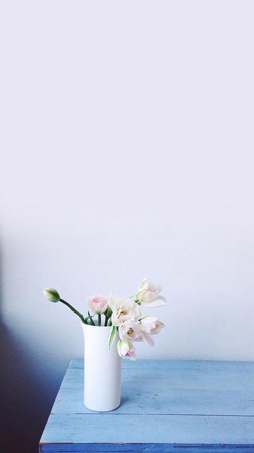 小清新花卉静物图片手机壁纸