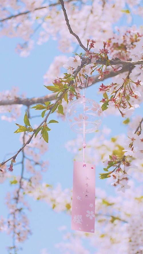 粉色,樱花,日式风铃