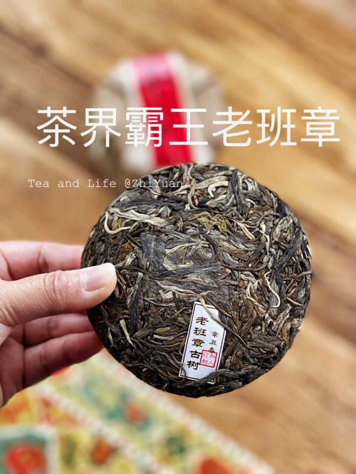 普洱茶界霸王老班章收藏一片属于自己的茶
