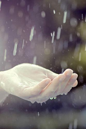 手掌,一个人,竖图,室外,特写,白天,雨,瑞士,湿,天气,自然,雨滴,人体