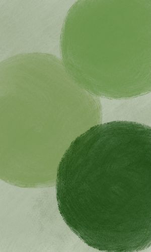 以图套图求有绿色元素的壁纸适合夏天的吖