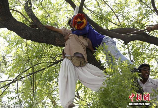 印度一农民在示威活动中上吊自杀