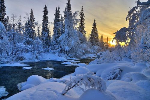 冬天河大自然树风景高清1080p壁纸