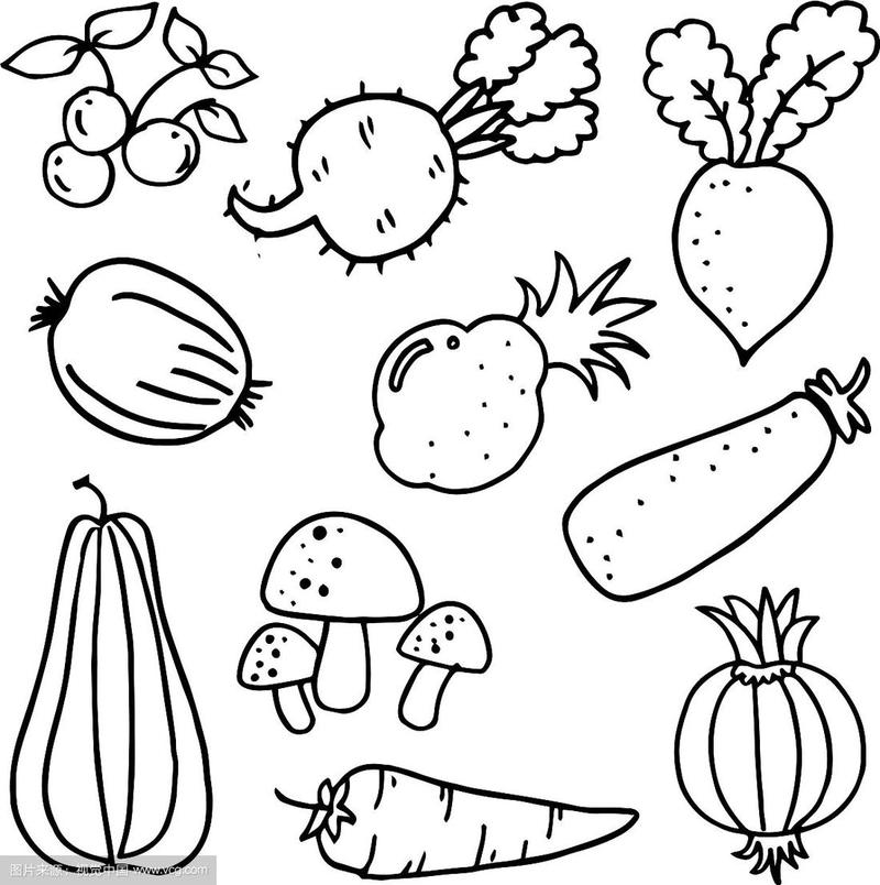 蔬菜涂鸦艺术