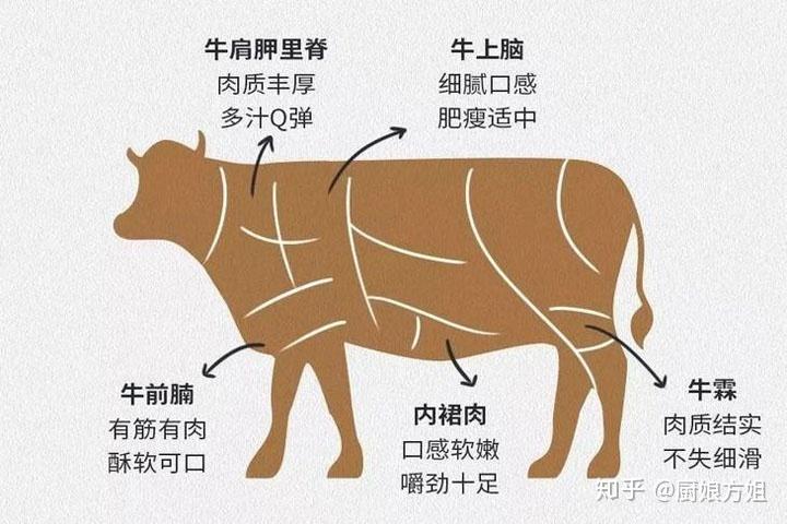 牛霖是牛的哪个部位上的肉可以做牛排吗