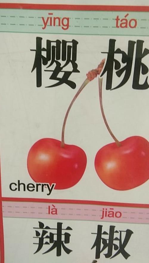 学习英语:樱桃:cherry