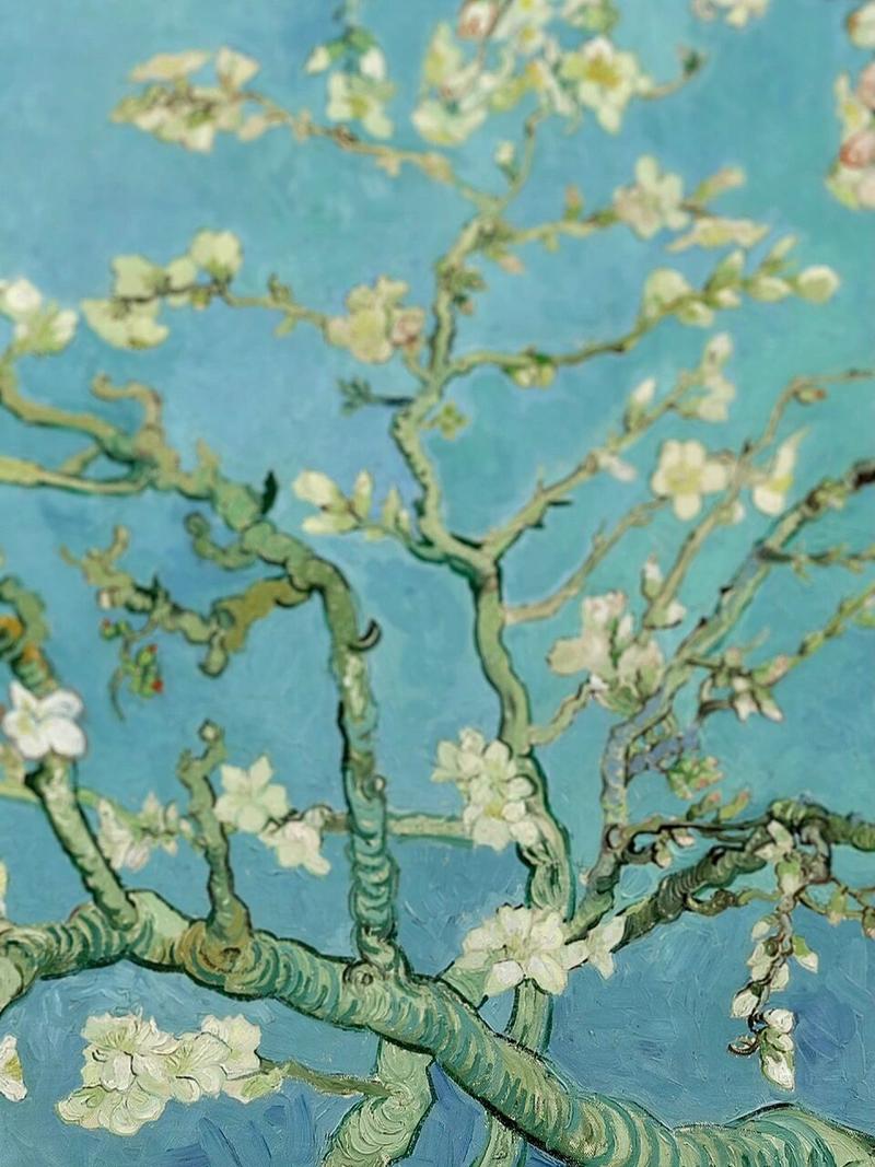 梵高将立体的杏花采用了日式浮世绘风格平面化
