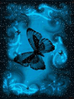 绚丽多彩的动态蝴蝶美图 - 易拉罐 - 杜佳兵 的博客.易拉罐