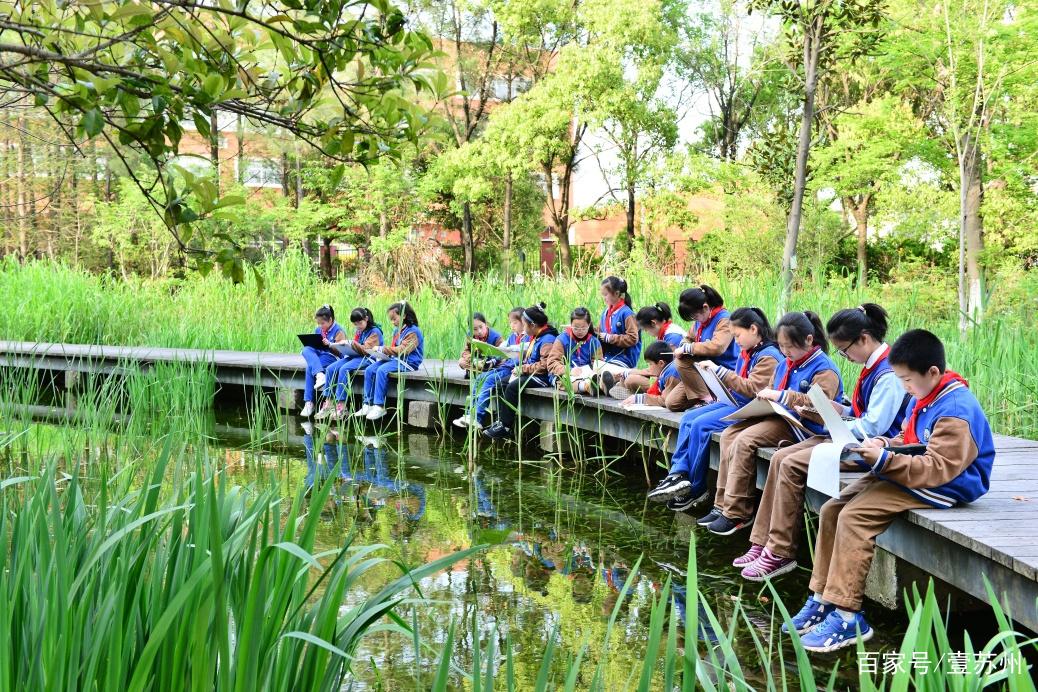 苏州首家"学校 湿地公园"自然学校成立!