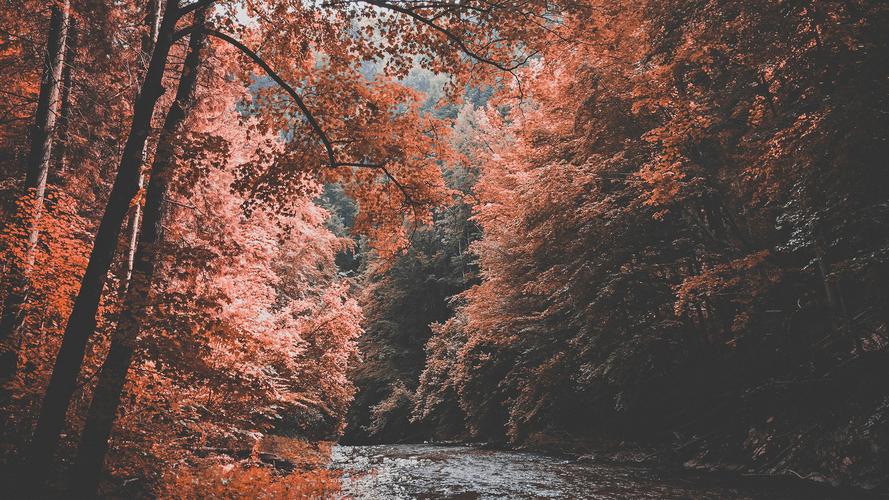 唯美深秋季节风景摄影高清宽屏桌面壁纸