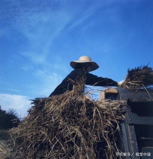 图为1970年图代的日本农村,一位日本农民戴着草帽,站在机器旁,把收割