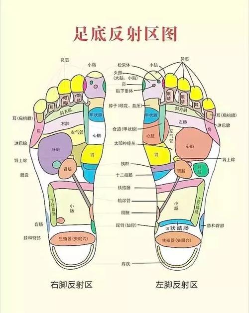 脚部是人体的第二心脏.脚虽然位于人体最低处,但它是人体的根本.