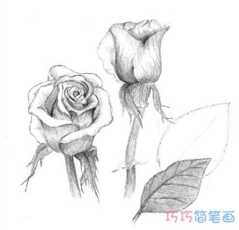 的画法素描_玫瑰花的简笔画图片简单又好看的玫瑰花素描作品就完成了