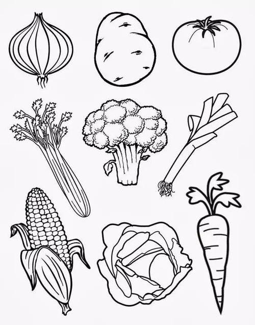 蔬菜简笔画蔬菜简笔画图片大全蔬菜简笔画卡通画蔬菜水果大全简笔画
