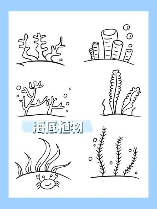 幼儿海洋植物简笔画