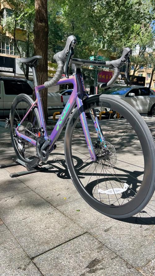 喜德盛rs700幻彩紫!碳纤维整车!#公路自行车 #自行车推 - 抖音