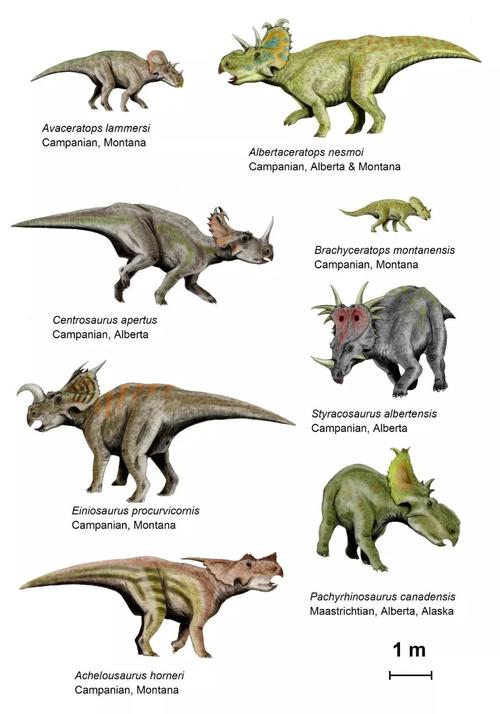 南方巨兽龙:南美洲巨型食肉恐龙giganotosaurus
