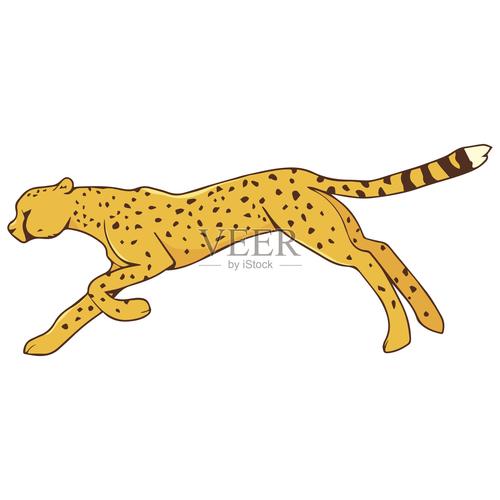 猎豹在运动的插图插画图片素材