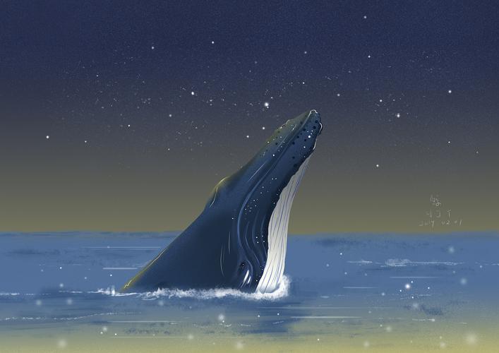 星空下的鲸