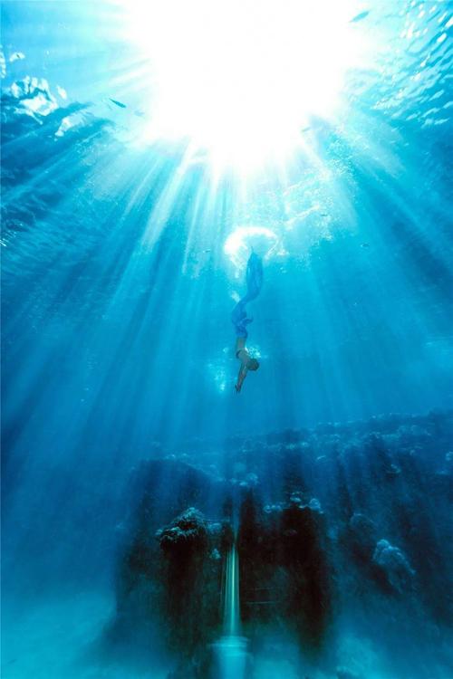 用屏幕一窥深海秘境感受海底屏息的魅力访水下摄影师谢飞