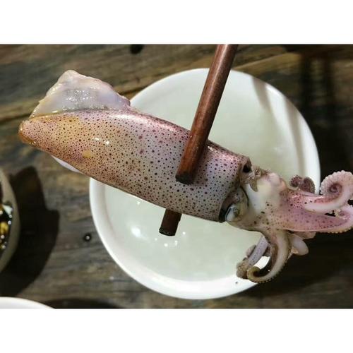 a小螺号东山岛野生海鲜做的油焖小管笔管鱼
