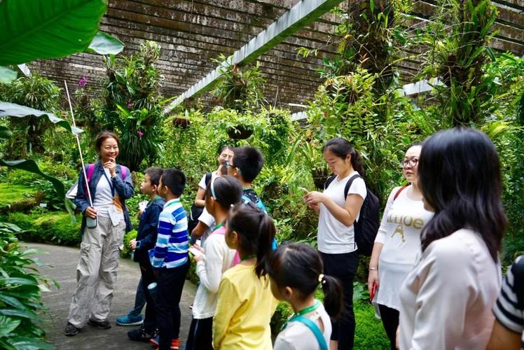 华侨城湿地自然学校"小鸟课堂"活动为了将自然教育机构的"月朗星稀"