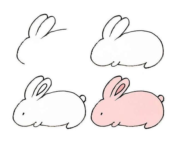 动物兔子简笔画白描色