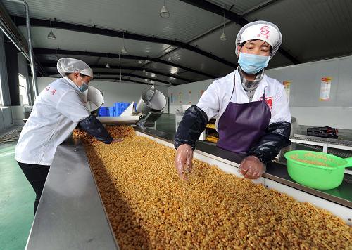 在宁夏回族自治区西吉县一家工业园区内,工作人员在筛选生产沙琪玛的