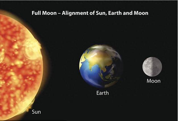 10月14日,全球数百万人可以看到一场环形日全食|太阳|日食|月球