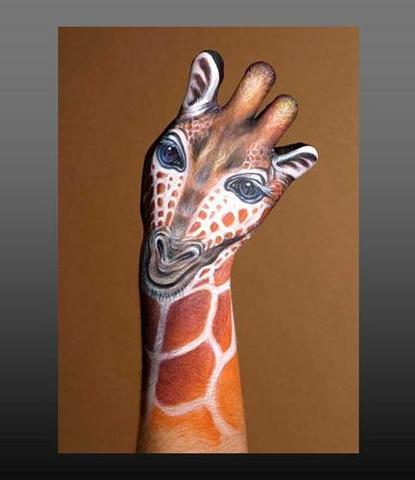 手型动物贴图——好图共享