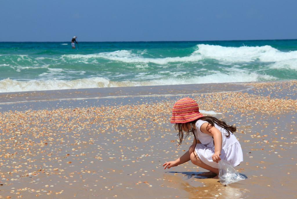 小女孩收集贝壳在海滩上