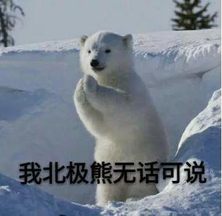 我北极熊无话可说北极熊无话可说表情