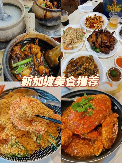来新加坡吃什么04本地美食集合坡县中餐