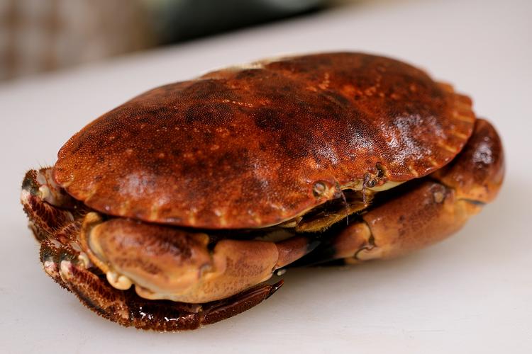 教你面包蟹不失鲜甜的做法,更有滋有味 服务升级 2葱油面包蟹的做法