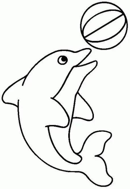 绘画海豚的画法(难得一见的海豚白描线稿)(1)
