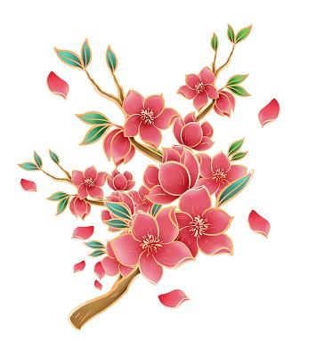 插画素材散乱漂浮桃花花瓣花朵花瓣装饰素材红色手绘古风中国风雨伞油