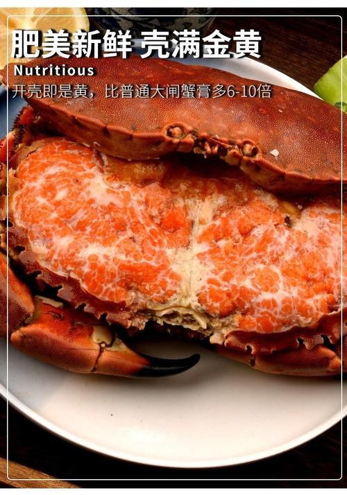 面包蟹 新鲜超大冷冻海鲜熟冻螃蟹黄金蟹海蟹即食珍宝蟹 400-600g 1只