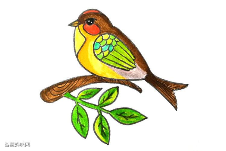 给小鸟画完眼镜和身体的彩色斑块并在下方画出树枝.