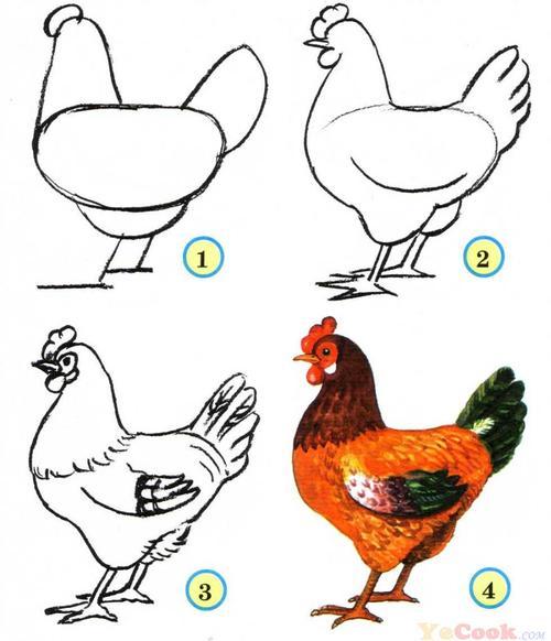 动物简笔画 如何画鸡铅笔画每日一简笔画画鸡妈妈儿童学画画怎么画鸡