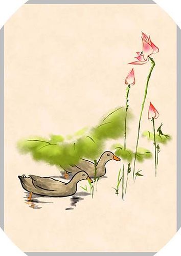 荷花鸭子中国风原创手绘商业插画