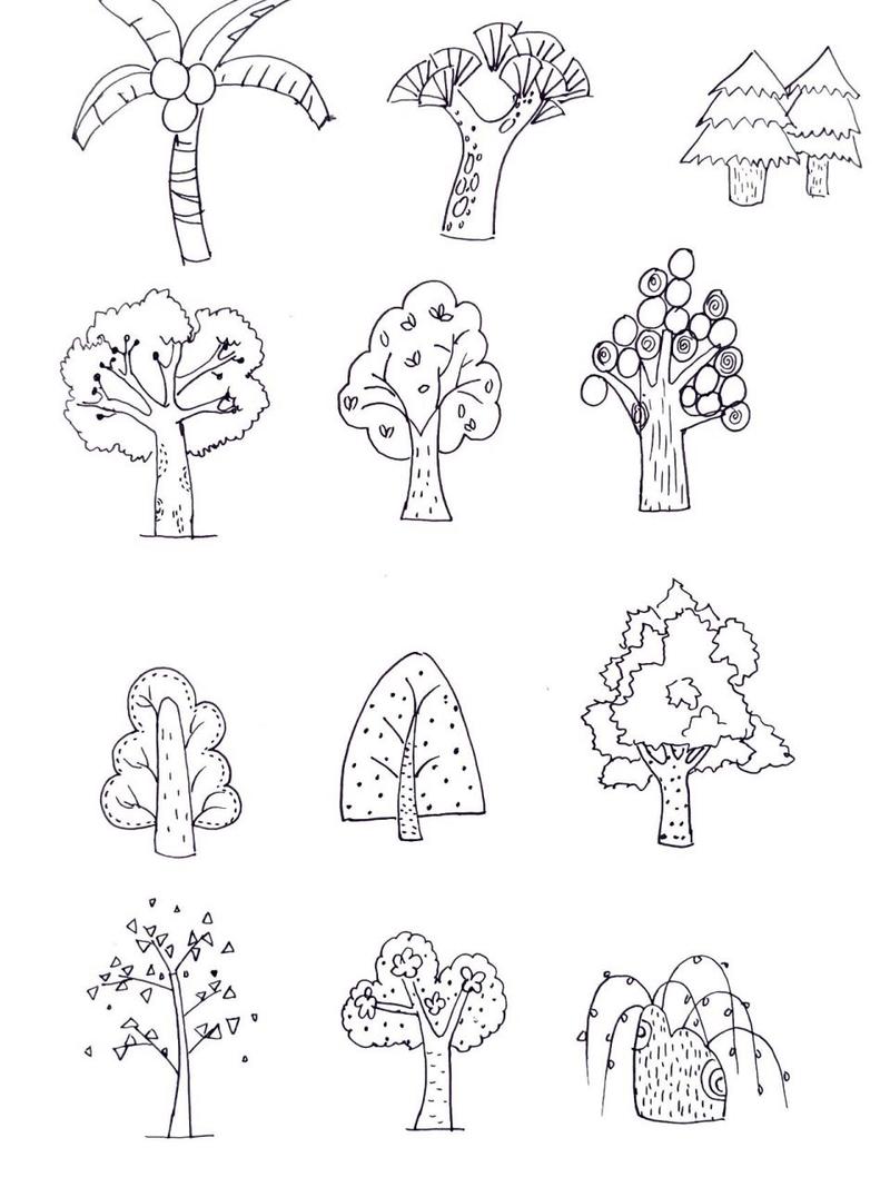 简笔画|树的画法植树节手抄报素材线描树        每棵大树都曾是一粒