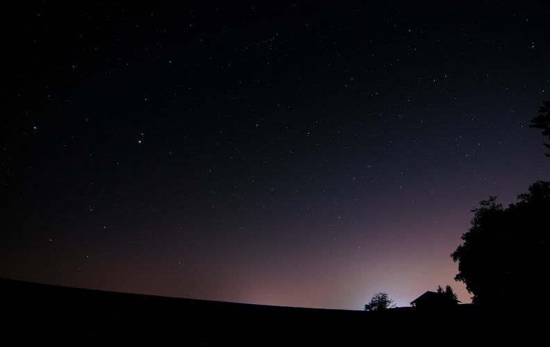 夜森林夜晚的天空星空4k风景壁纸