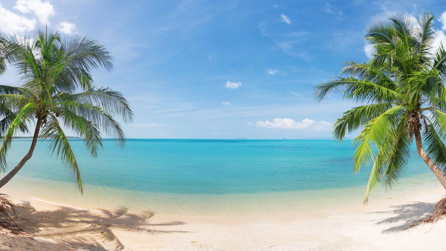 漂亮,椰子树,自然,风景,大海,沙滩,天空壁纸