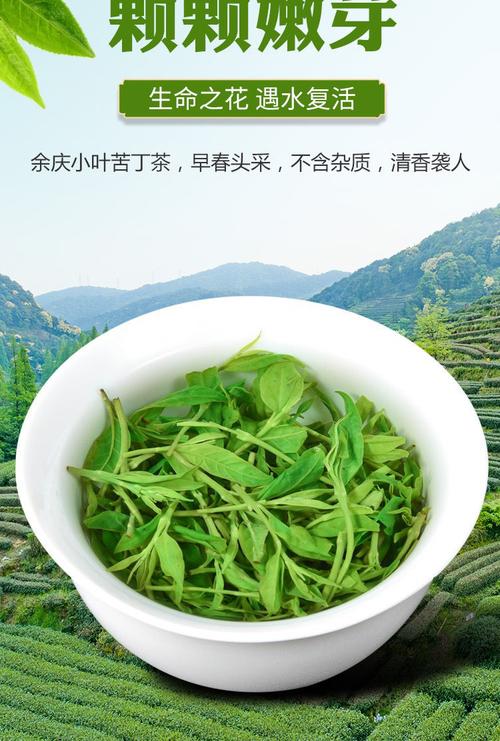 余庆小叶苦丁茶特级2021新茶叶贵州特产养生苦丁茶250g250g一袋